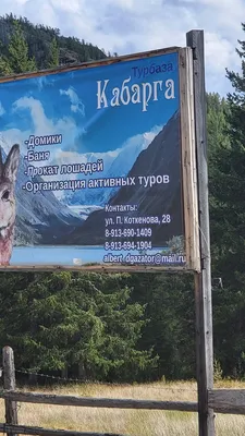 Фото: Кабарга, турбаза, Республика Алтай, Кош-Агачский район — Яндекс Карты