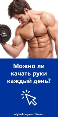 Как правильно качать мышцы — основные советы новичку | Фитнес-центр City  Gym в Бресте