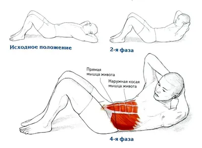 Расставляй приоритеты правильно: что стоит качать в зале в первую очередь |  BroDude.ru