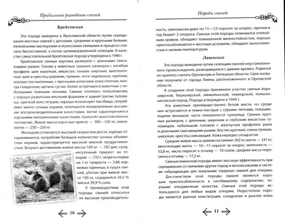 Администрация Большемуртинского района | Мероприятия