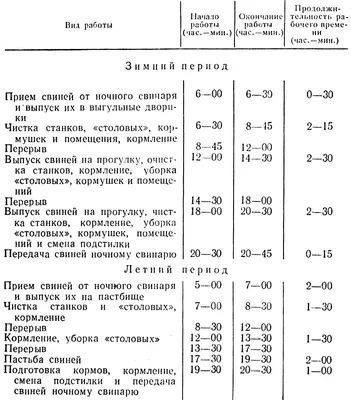 Что такое онтогенез свиньи | Cельхозпортал