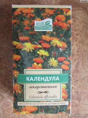 Лекарственные травы Наследие природы Календула лекарственная - «Календула у  меня всегда есть дома; одна из любимых лекарственных трав» | отзывы