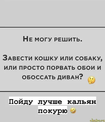 Прикольные картинки ❘ 17 фото от 3 апреля 2021 | Екабу.ру - развлекательный  портал