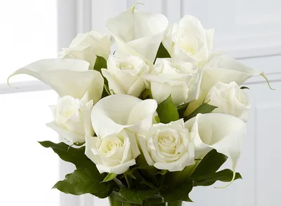 Фотографии Букеты роза Каллы Белый цветок