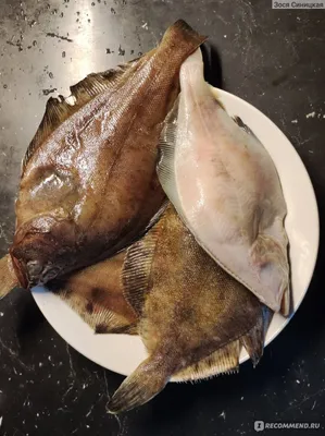 Рыба Свежая Камбала - «Зачем камбале вытяжка?» | отзывы