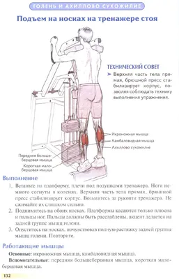 Ученые: тренировка камбаловидной мышцы помогает быстро сжечь жир | FNT -  новости питания, торговли, производства продуктов