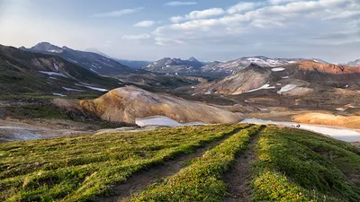 Фото Камчатка Россия Горы Природа Пейзаж Трава