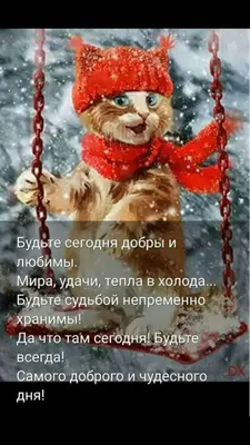 Pin by bos on доброе утро | Day wishes, Funny pictures, Postcard