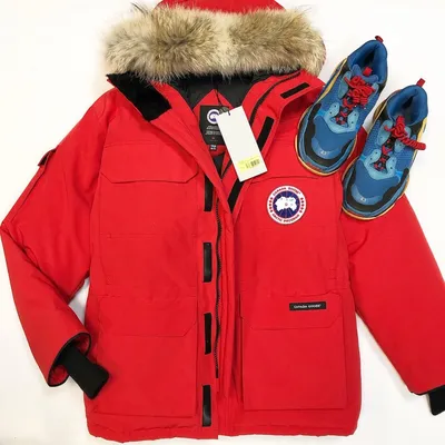 🔥пуховик canada goose: цена 4999 грн - купить Верхняя одежда мужская на  ИЗИ | Львов