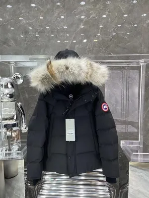 Пуховик CANADA GOOSE - купить с доставкой по выгодным ценам в  интернет-магазине OZON (1301175171)