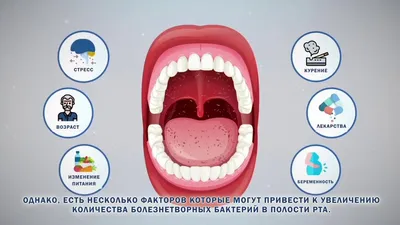 Biorepair PERIBIOMA Жевательная резинка купить в Москве по цене 990 ₽