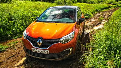 Что не так с Renault Kaptur? Тест драйв Рено Каптур/Каптюр для России -  YouTube
