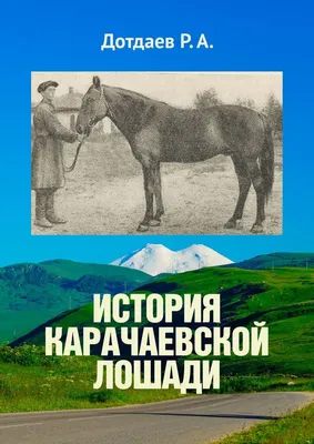 ФОТО: Карачаевская лошадь — Gorodprizrak