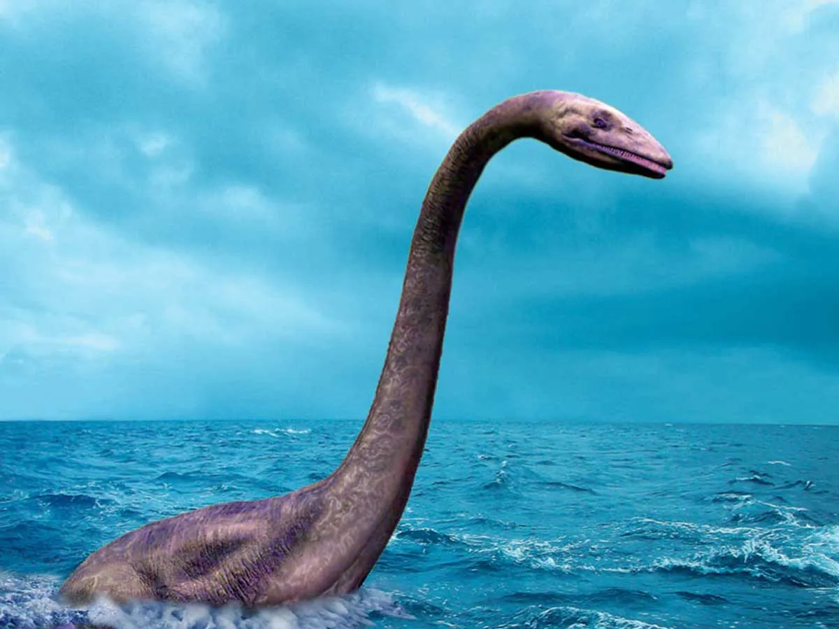 The loch ness monster has a. Лохнесское чудовище. Несси Лохнесское. Плезиозавр Несси.