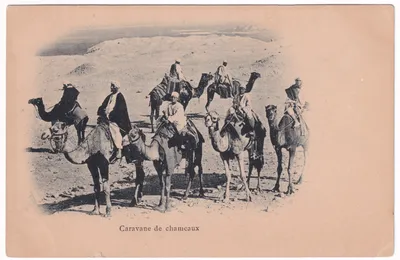Марокканские хроники. Пустыня Сахара по-берберски. Караван верблюдов и ночь  на песке под звёздами.