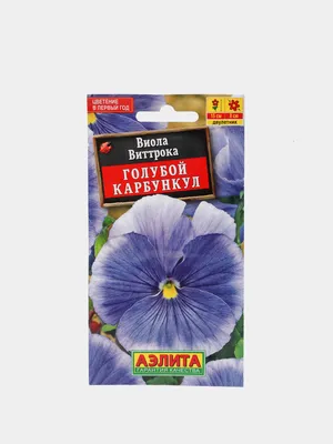 Виола Голубой карбункул (семена) цветы за 35 ₽ купить в интернет-магазине  KazanExpress