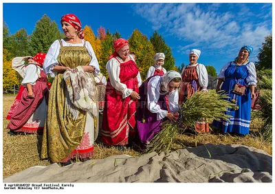 Михалева Владлена Владиковна