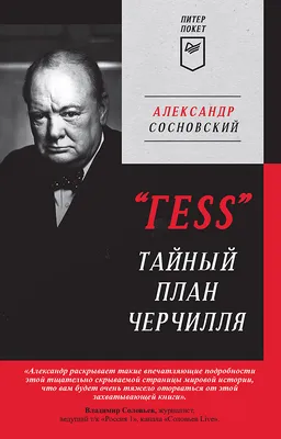 Книга \"ГESS\" Тайный план Черчилля - купить современной литературы в  интернет-магазинах, цены в Москве на Мегамаркет | 978-5-00116-852-2