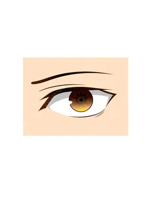 карие глаза PNG , глаз, Мультфильм глаза, карие глаза PNG PNG картинки и  пнг PSD рисунок для бесплатной загрузки