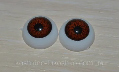 Купить Карие глаза для кукол 12 мм, цена 20 грн — Prom.ua (ID#258242763)