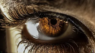 15 удивительных фактов о карих глазах | Морозовский вестник