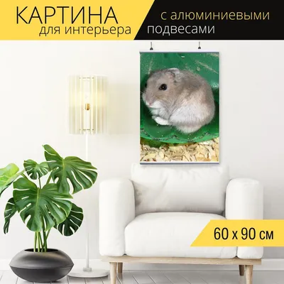 LITTLE ONE корм для карликовых хомяков, 400 г.