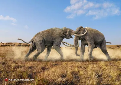 Слоны плейстоцена | Пикабу