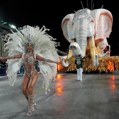 Полуголые танцовщицы в стразах и перьях Фото с бразильского карнавала