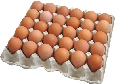 Яйца 344095 - Продукты питания | Shop