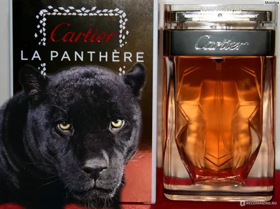 Perfume review: Cartier La Panthere Legere eau de parfum – Lipgloss is my  Life