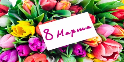 Поздравление с 8 марта: лучшие пожелания и картинки для женщин - Радіо  Незламних