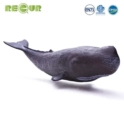 Купить Игрушка Кашалот RECUR Sperm Whale, цена 890 грн — Prom.ua  (ID#1134639353)