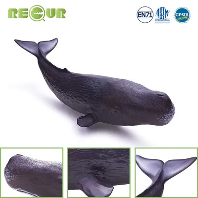 Купить Игрушка Кашалот RECUR Sperm Whale, цена 890 грн — Prom.ua  (ID#1134639353)