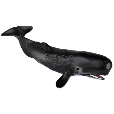 Искусственный кашалот Модель Статическая пластиковая игрушка для украшения  кита купить недорого — выгодные цены, бесплатная доставка, реальные отзывы  с фото — Joom