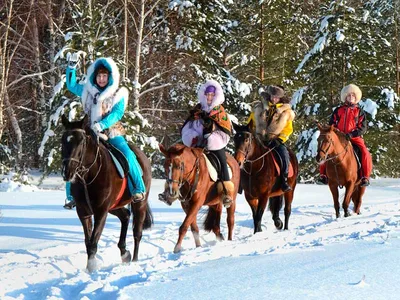 конная прогулька в хургаде.покататься на лощадях medaliontours