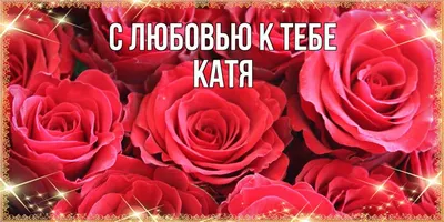 Катерина Кулешова | ВКонтакте