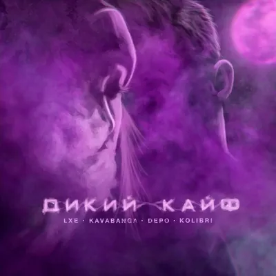 LXE, kavabanga Depo kolibri альбом Дикий кайф слушать онлайн бесплатно на  Яндекс Музыке в хорошем качестве