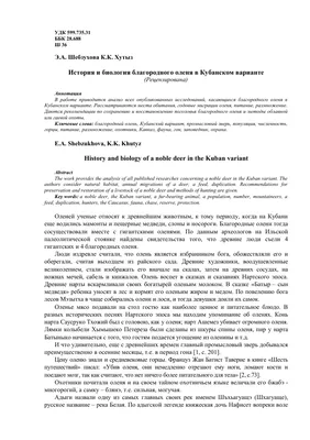 Благородный олень, солонец Артал | ООПТ России