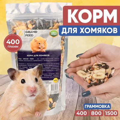 КАКИЕ ХОМЯКИ САМЫЕ ОБЩИТЕЛЬНЫЕ? - LOVE FERPLAST