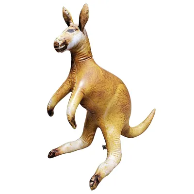 Австралийский эквивалент оленей и антилоп - кенгуру | Nature around the  World | Дзен