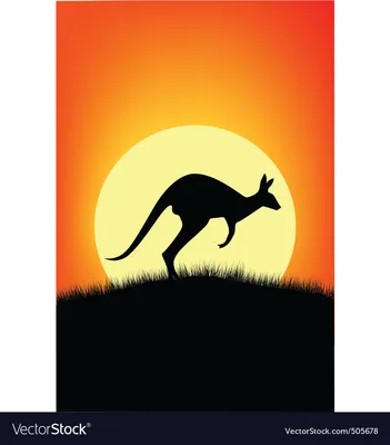 File:Grey Kangaroo at Australia Zoo-1 (9097959682).jpg - Wikimedia Commons