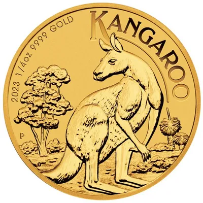Australia kangaroo Royalty Free Vector Image - VectorStock