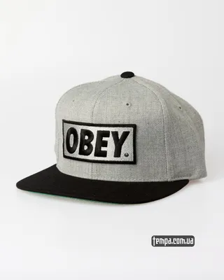 Купить кепку Obey Snapback серая | Tempa