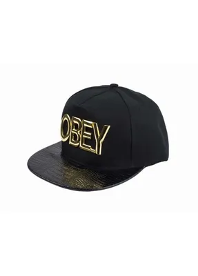 Кепка Obey Alchemy 6 Panel Strapback купить в Перми — интернет-магазин  FRIDAY