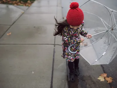 https://www.deviantart.com/coolarts223/art/Mushroom-outfit-with-umbrella-cap-for-woman-986371097