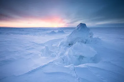 Невероятные снимки из Арктики Канады | Всемирная организация фотографии
