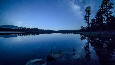 Юниорская сборная Шанхай Шарк (Шанхай, Китай) | Фото включает… | Фликр