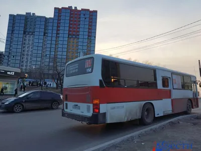 Хабаровск | Сегодня утром на маршруты в Хабаровске вышла 501 единица  транспорта - БезФормата