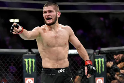 Хабиб Нурмагомедов сохранил титул чемпиона UFC - Ведомости