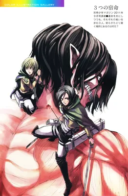 Attack on Titan Mobile Wallpaper by Isayama Hajime #1551968 - Zerochan  Anime Image Board